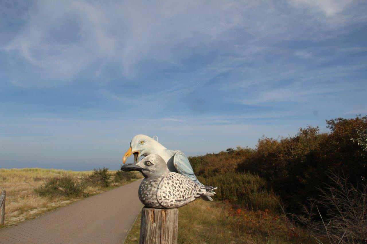 Ferienwohnung Fledermaus Gelbensande Luaran gambar
